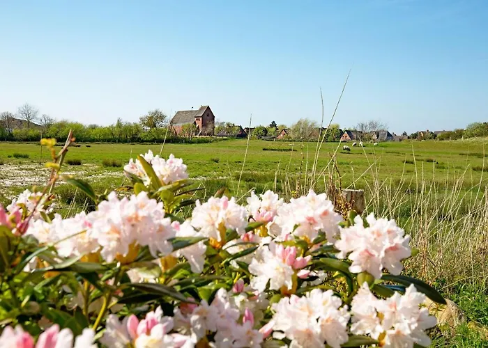 Solskin Appartamento List